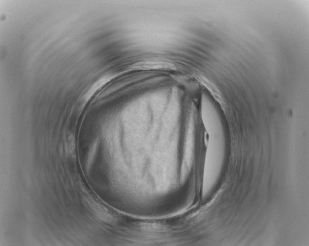 X0000088381465200706121133