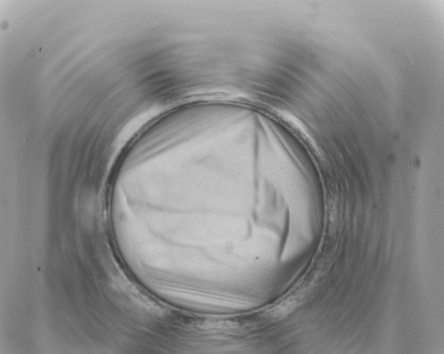 X0000088381466200706121133