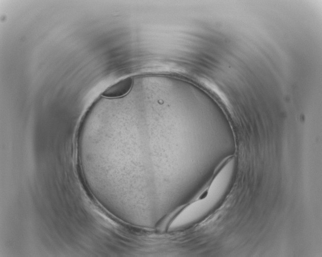 X0000088381467200706121133