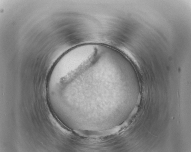 X0000088381468200706121133