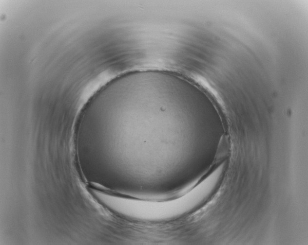 X0000088381469200706121133