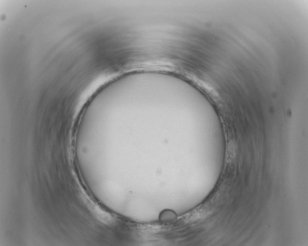 X0000088381470200706121133