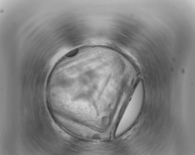 X0000088381471200706121133