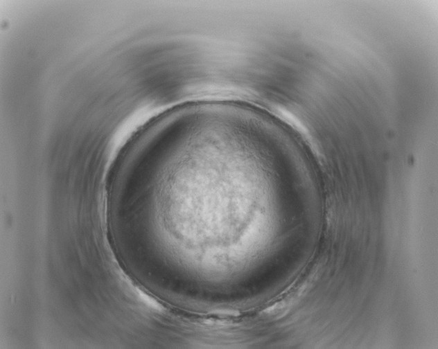 X0000088381472200706121133