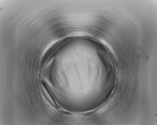 X0000088381473200706121133