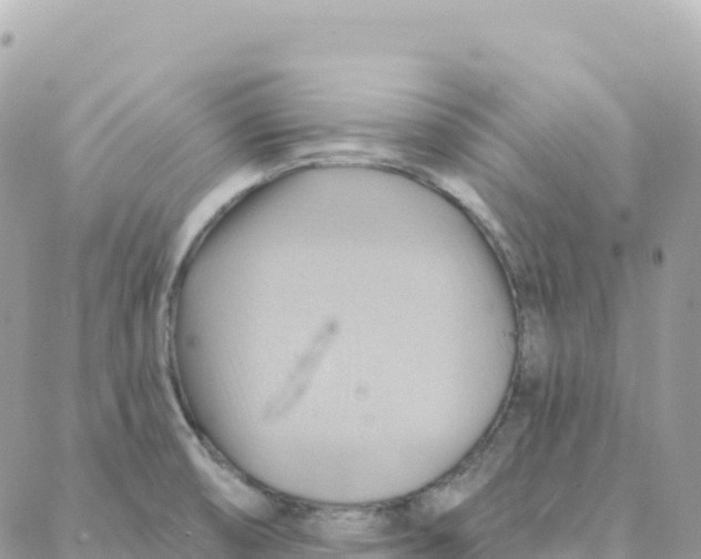 X0000088381474200706121133