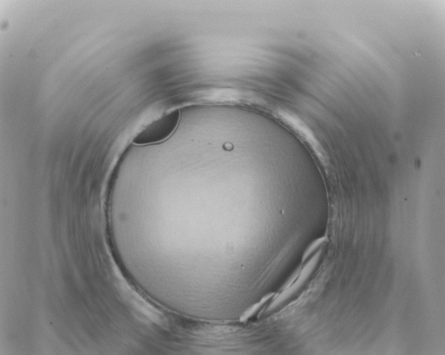 X0000088381475200706121133