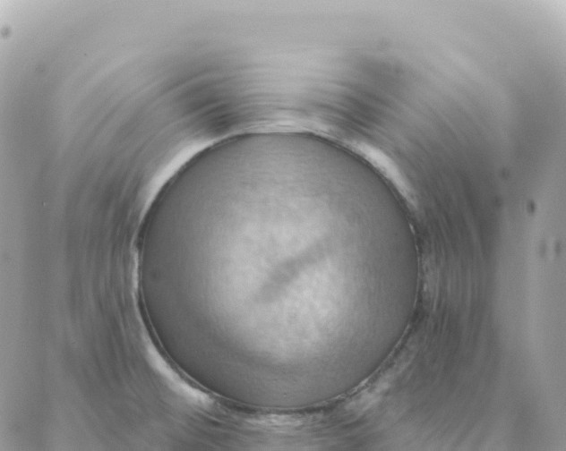 X0000088381476200706121133