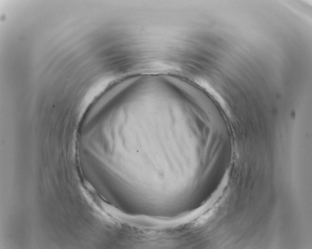 X0000088381477200706121133