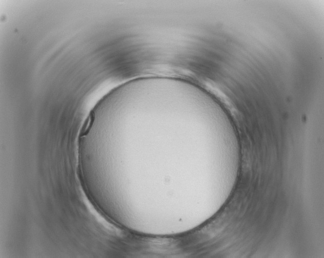 X0000088381479200706121133