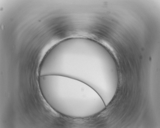 X0000088381480200706121132