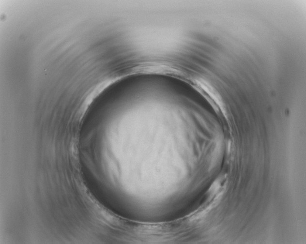 X0000088381481200706121132