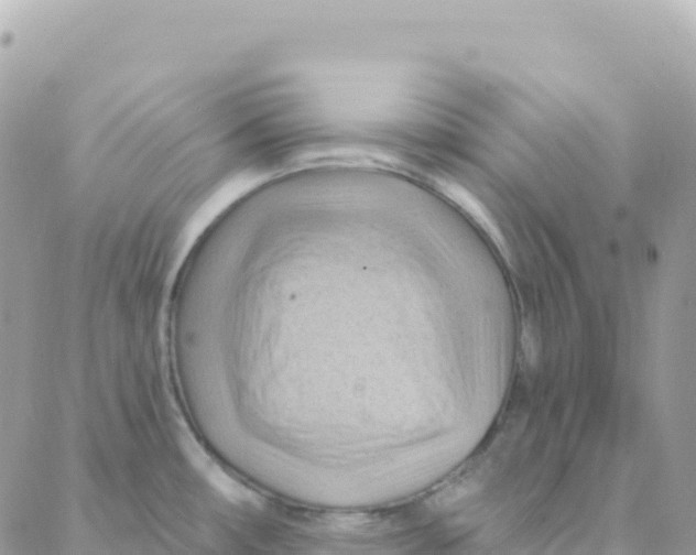 X0000088381482200706121132