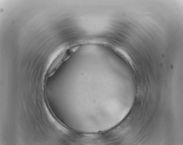 X0000088381483200706121132