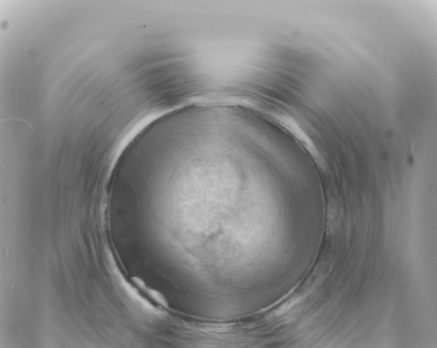 X0000088381484200706121132