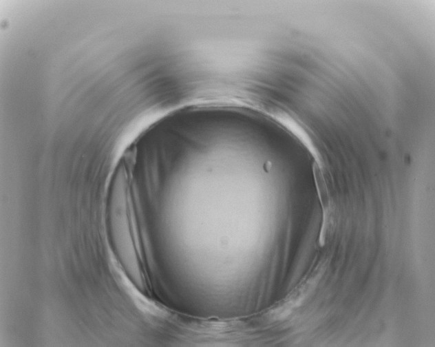 X0000088381485200706121132