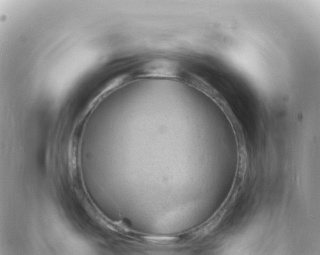 X0000088381487200706121132