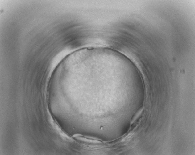 X0000088381488200706121132