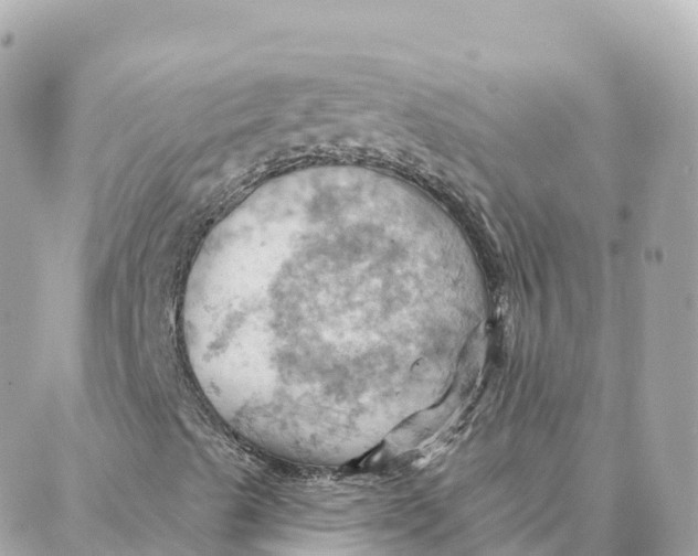 X0000088381489200706121132