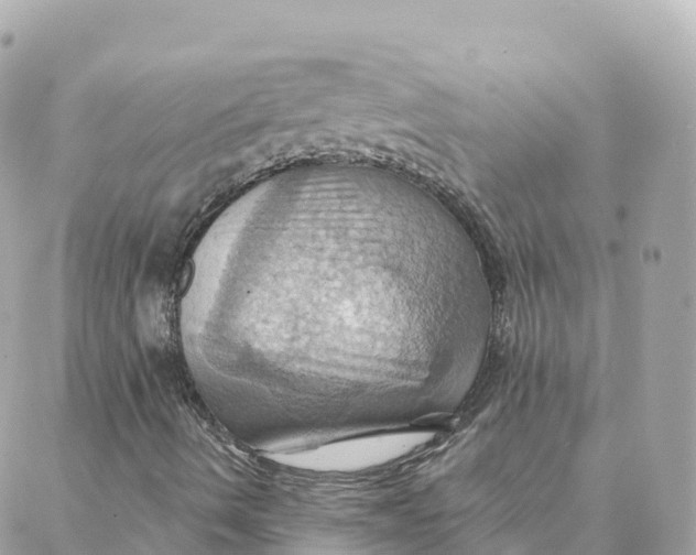 X0000088381490200706121132