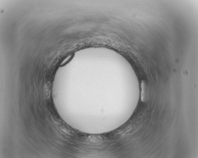 X0000088381491200706121132