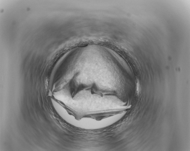 X0000088381492200706121132