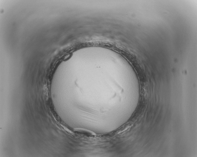 X0000088381493200706121132