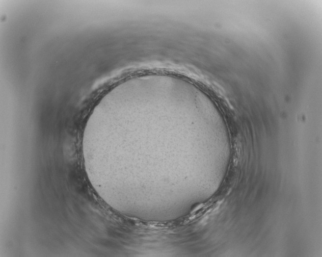 X0000088381494200706121132