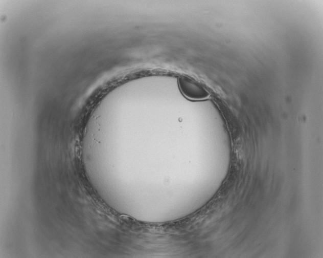 X0000088381495200706121132