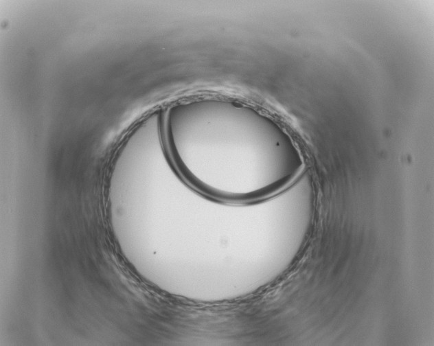 X0000088381496200706121132