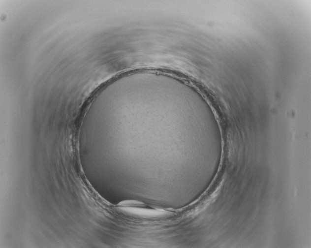 X0000088381497200706121132