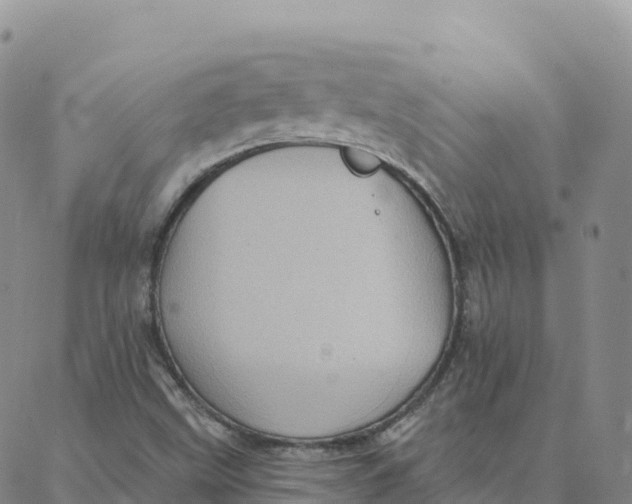 X0000088381499200706121132