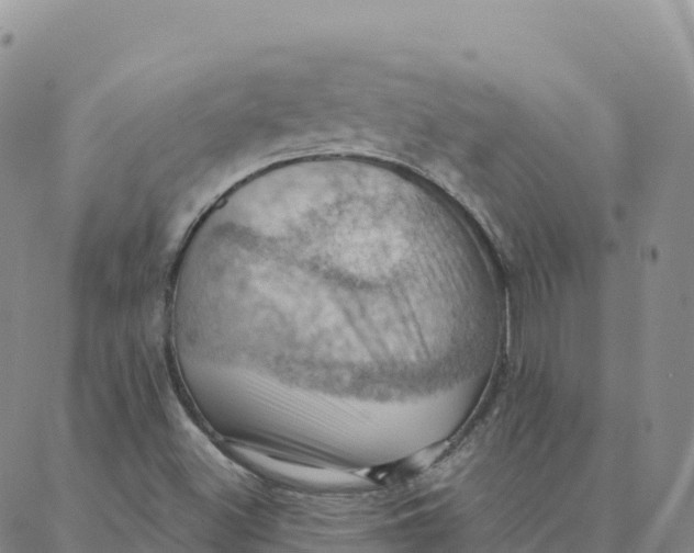 X0000088381500200706121132