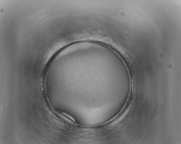 X0000088381501200706121132