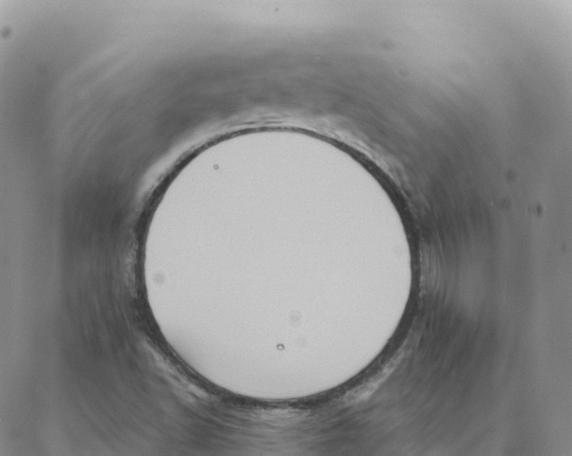 X0000088381502200706121132