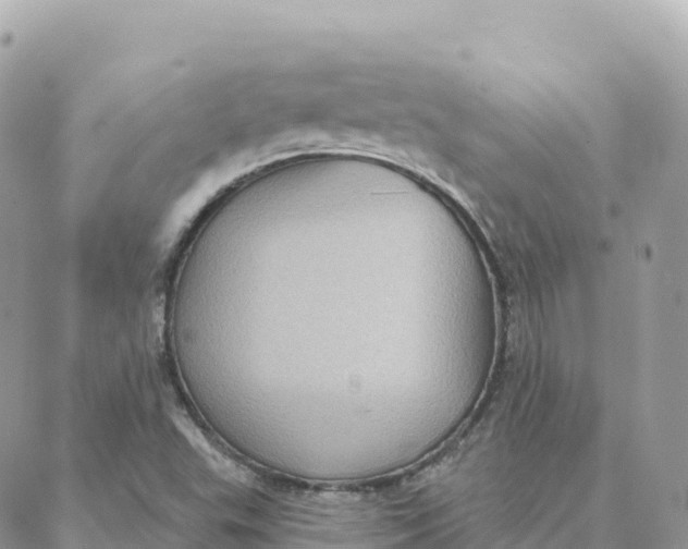 X0000088381503200706121132