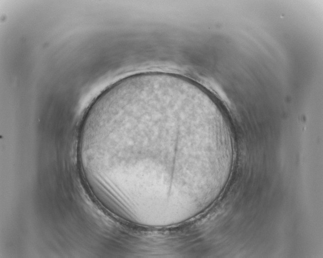 X0000088381504200706121132