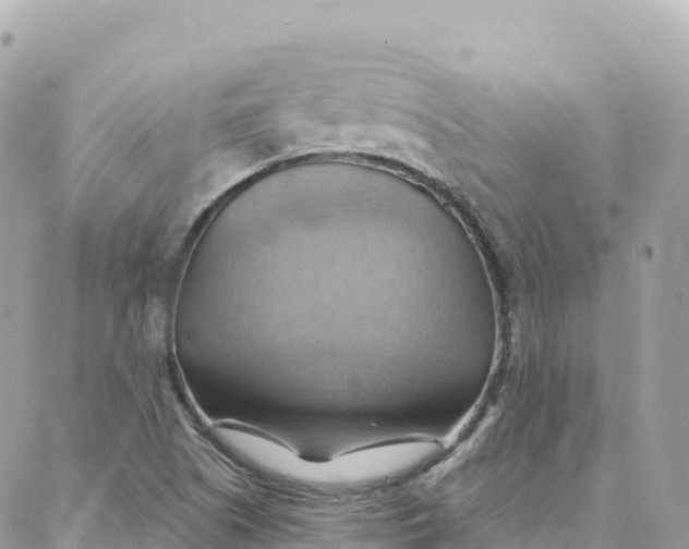 X0000088381505200706121132