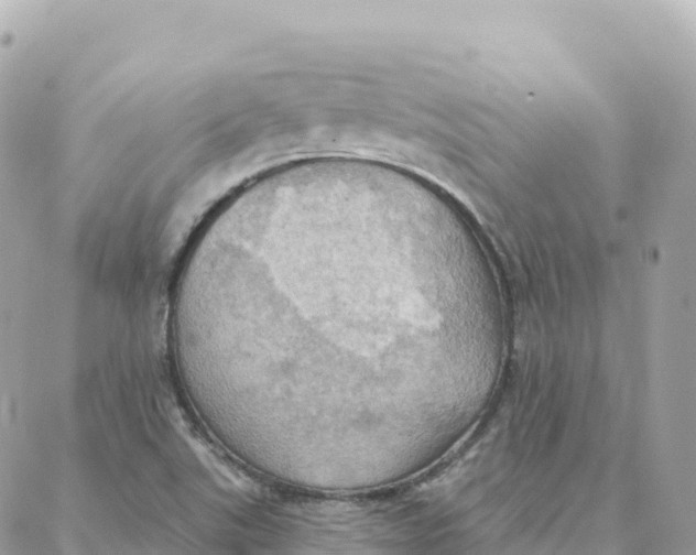 X0000088381507200706121132