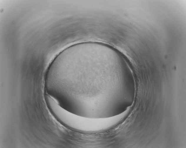 X0000088381508200706121132