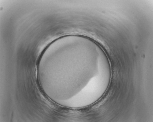 X0000088381509200706121132