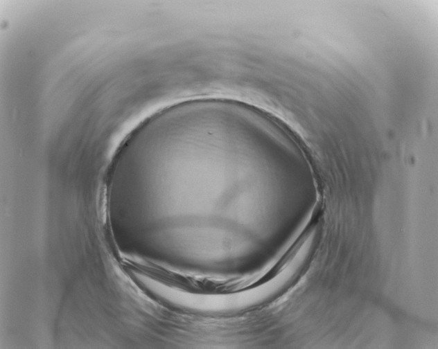 X0000088381510200706121132