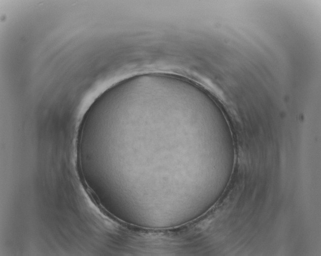 X0000088381512200706121132