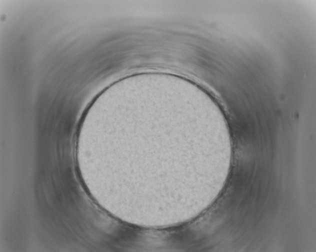 X0000088381514200706121132