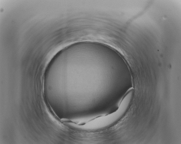 X0000088381515200706121132