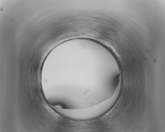 X0000088381516200706121132