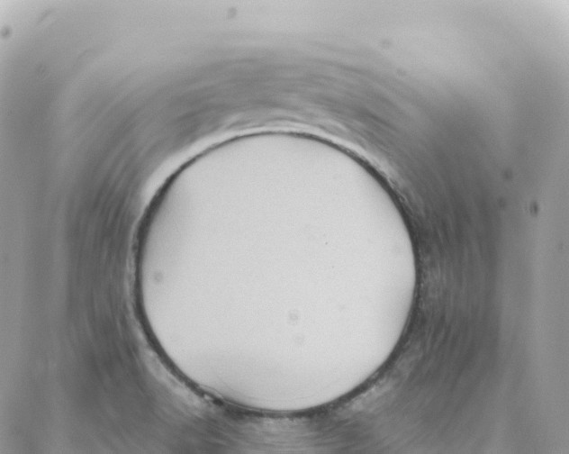 X0000088381518200706121132