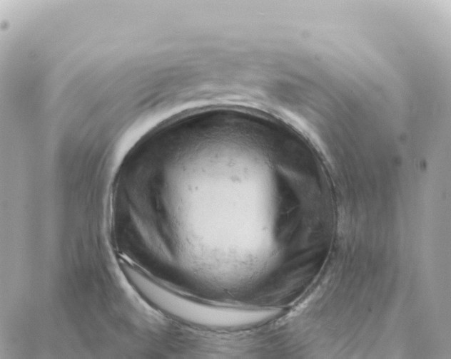 X0000088381520200706121132