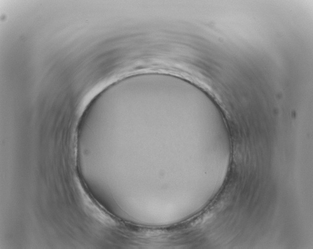 X0000088381522200706121132