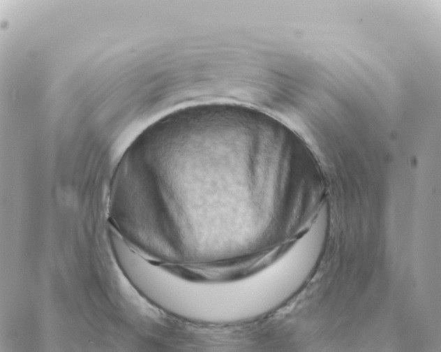 X0000088381524200706121132